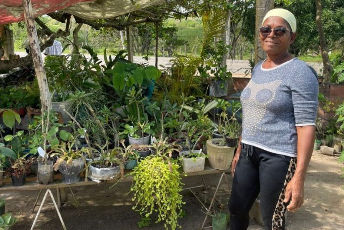 Programas de assistência técnica para mulheres rurais promovem autonomia para agricultoras familiares baianas