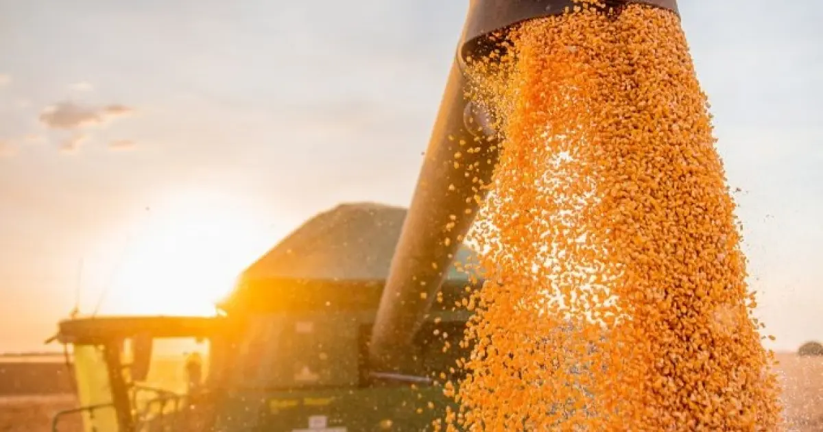 Safra baiana de grãos em 2023 é estimada em 12,1 milhões de toneladas
