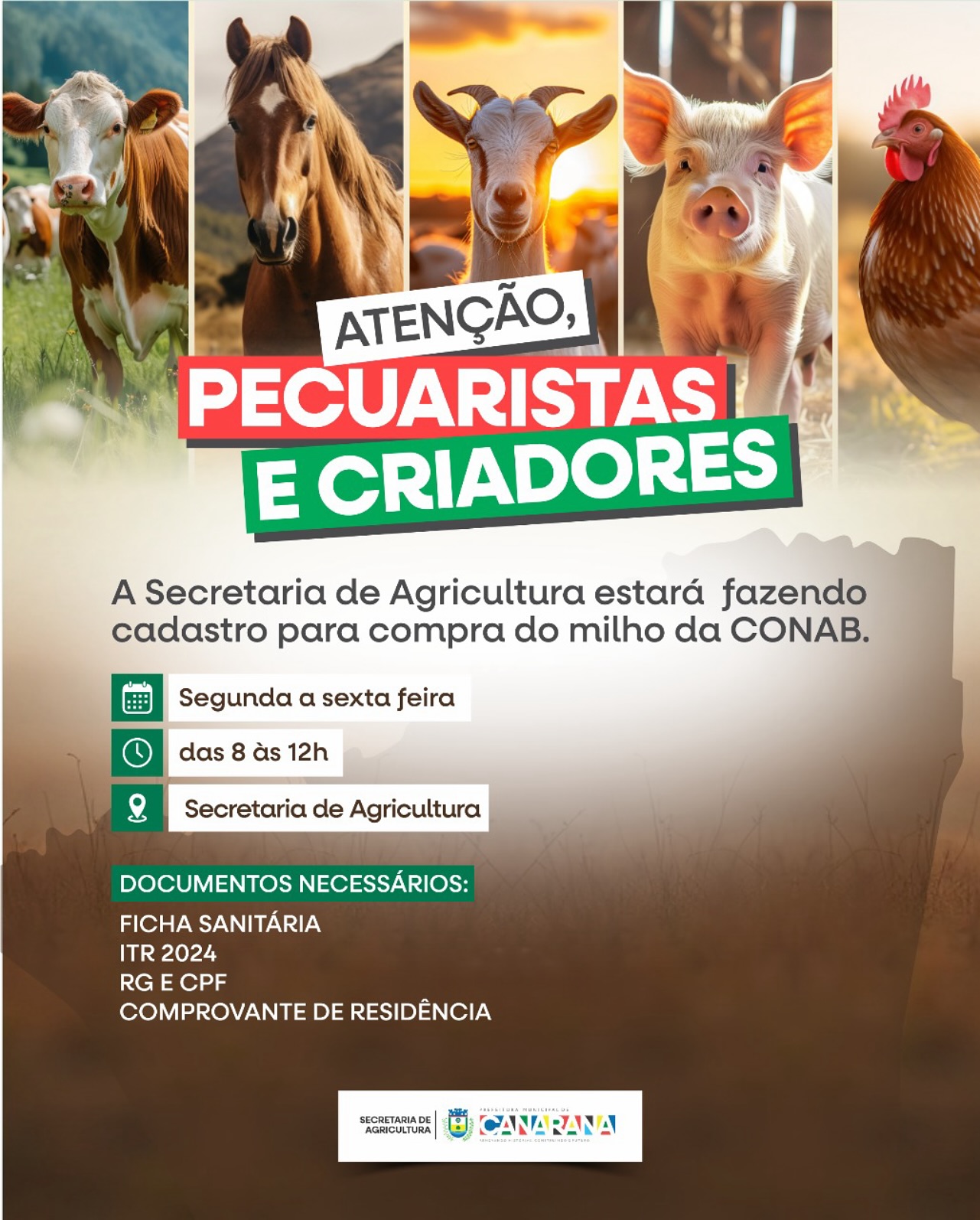 ATENÇÃO PECUARISTAS E CRIADORES DE CANARANA