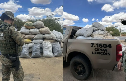 Uma tonelada de carvão vegetal ilegal é apreendida pela polícia ambiental na Região de Irecê