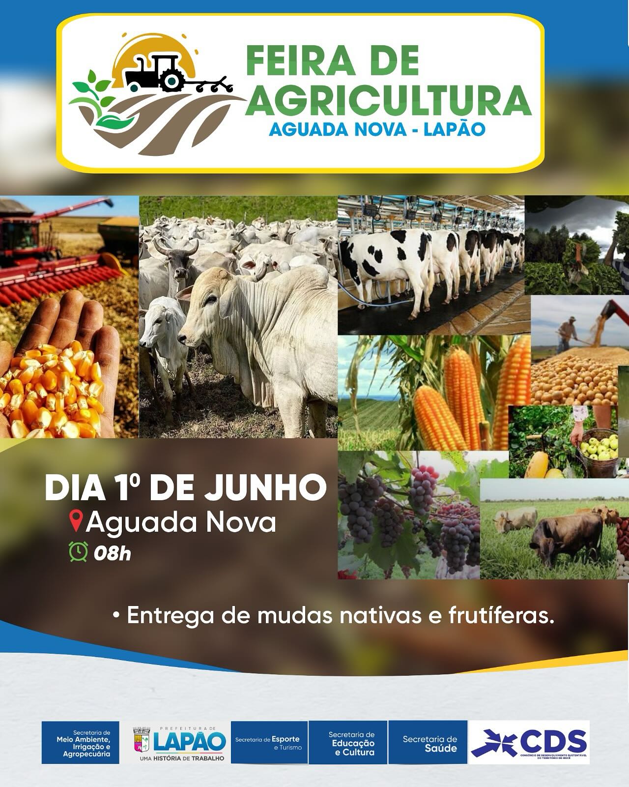 Feira de Agricultura de Aguada Nova – Lapão