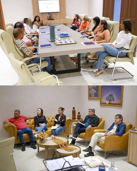 GESTÃO MUNICIPAL REALIZA REUNIÃO DE ALINHAMENTO DO PPA EM LAPÃO