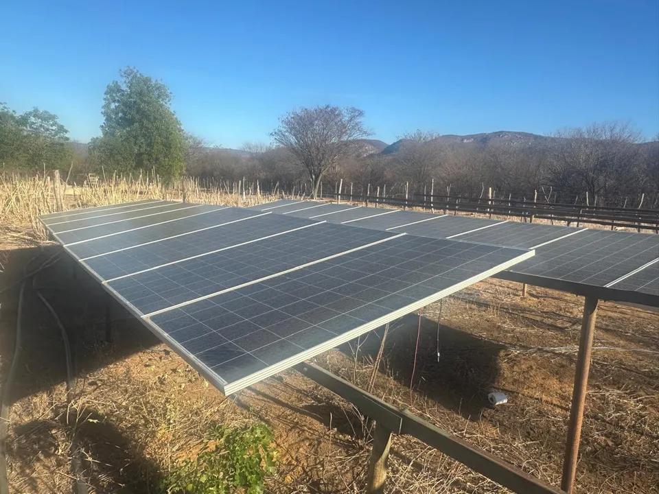 Plantação de maconha com sistema de energia solar é destruída na Bahia