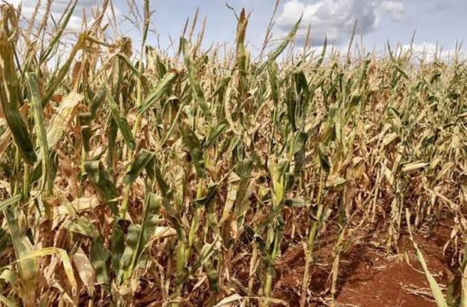 Unipi cobra ações urgentes do Ministério da Agricultura