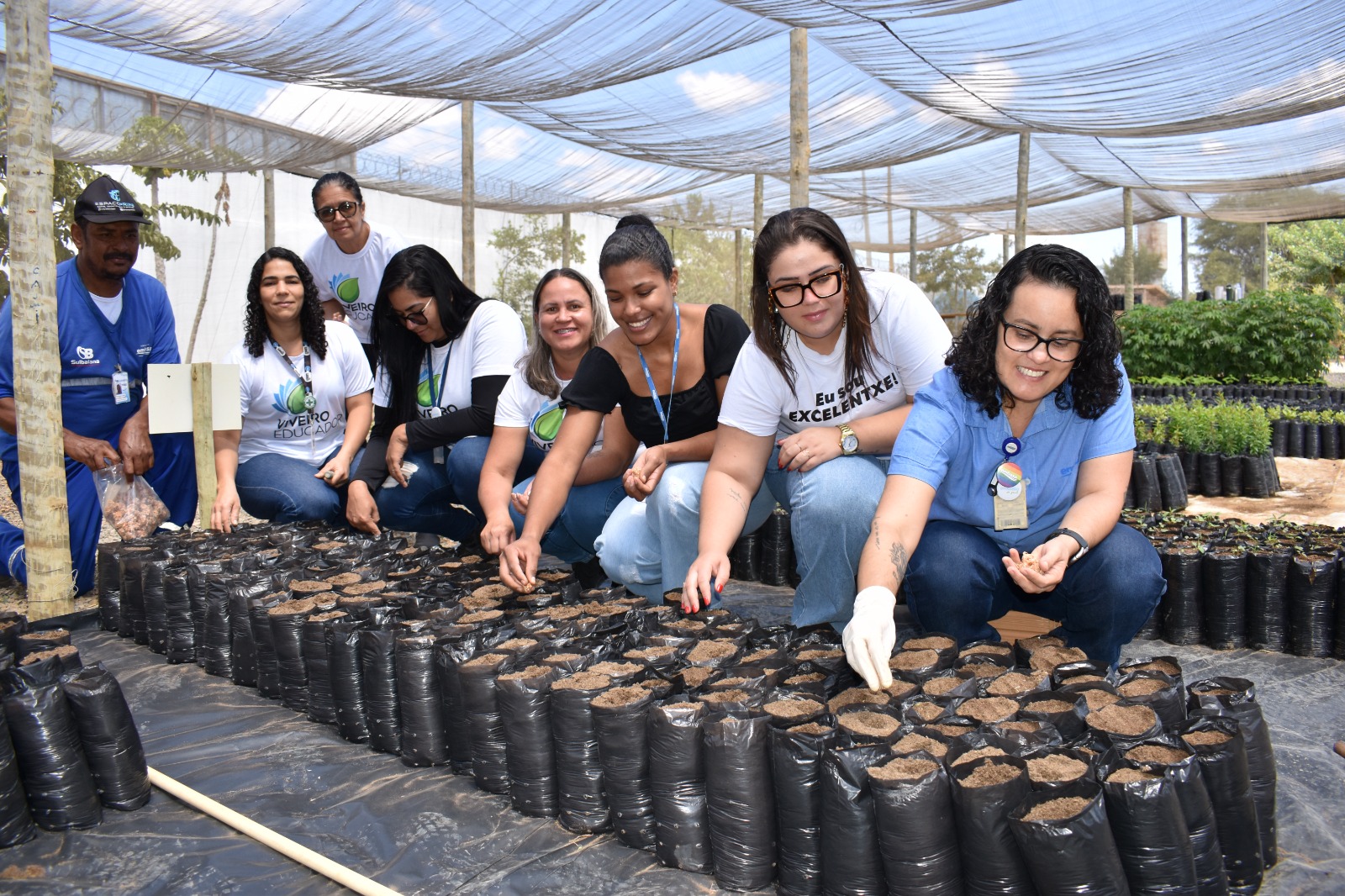 Viveiro Educador da Embasa em Irecê reforça compromisso ambiental com produção e doação de mudas