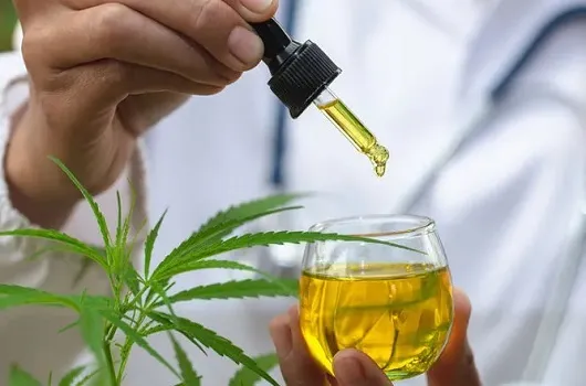 Anvisa proíbe todos os produtos de Cannabis de marca específica
