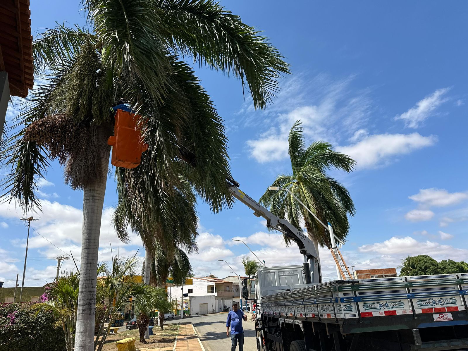 Jussara inicia a semana com ações de poda de palmeiras e cuidado na área do açude