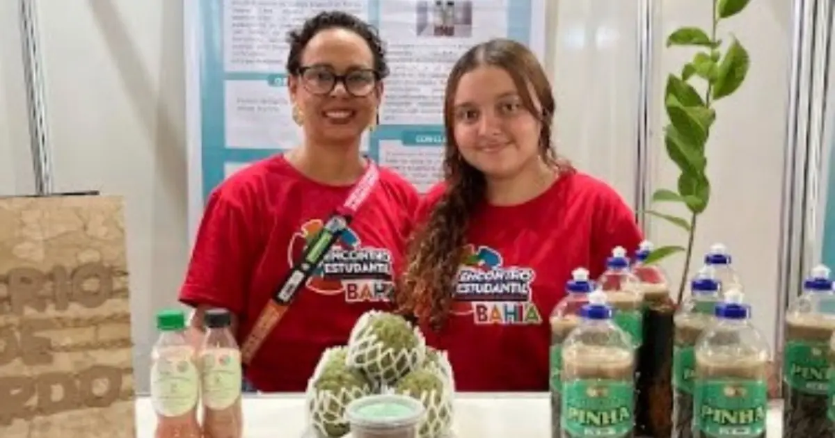Iniciativa em colégio no semiárido baiano cria detergente biodegradável a partir da casca de pinha