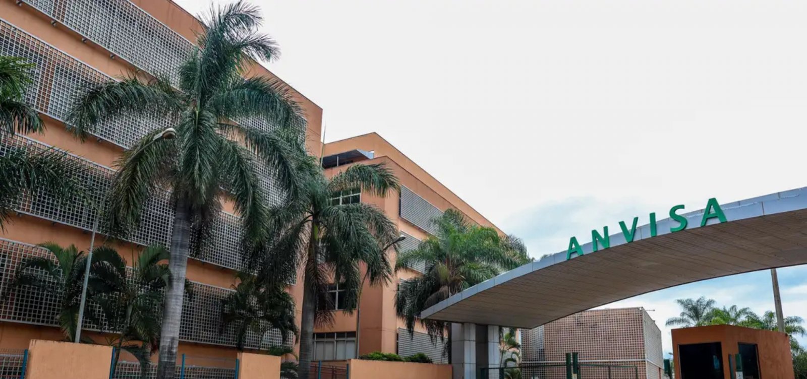 Anvisa determina recolhimento de suplementos alimentares; confira itens