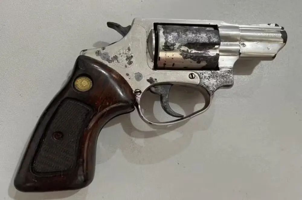 Comissão do Senado aprova projeto que flexibiliza acesso a armas de fogo