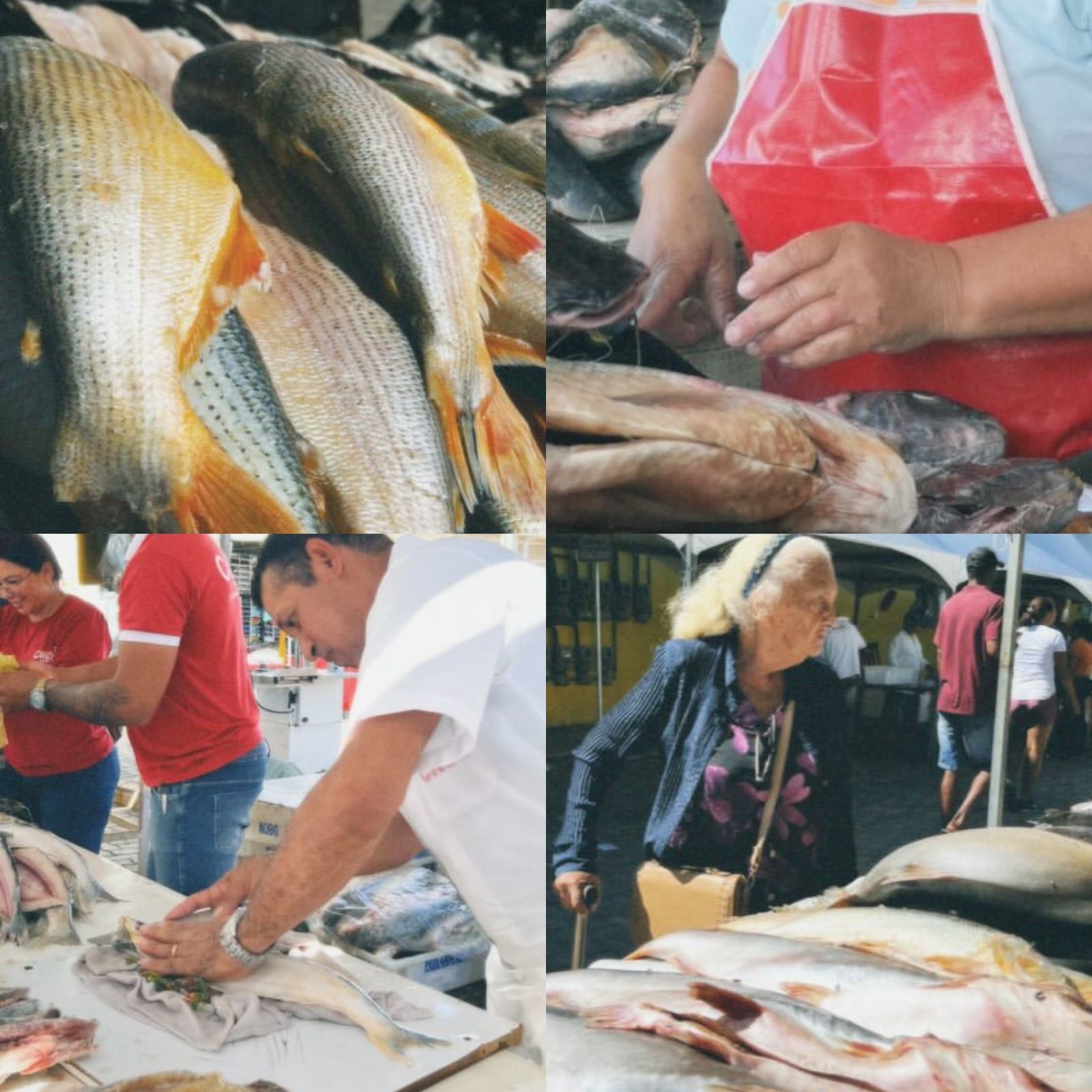 Segunda edição da Feira do Peixe movimenta o Mercadão a partir desta segunda