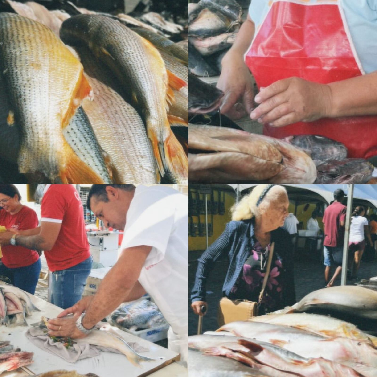 II FEIRA DO PEIXE MOVIMENTA O MERCADÃO DE IRECÊ E FORTALECE TRADIÇÃO DA SEMANA SANTA