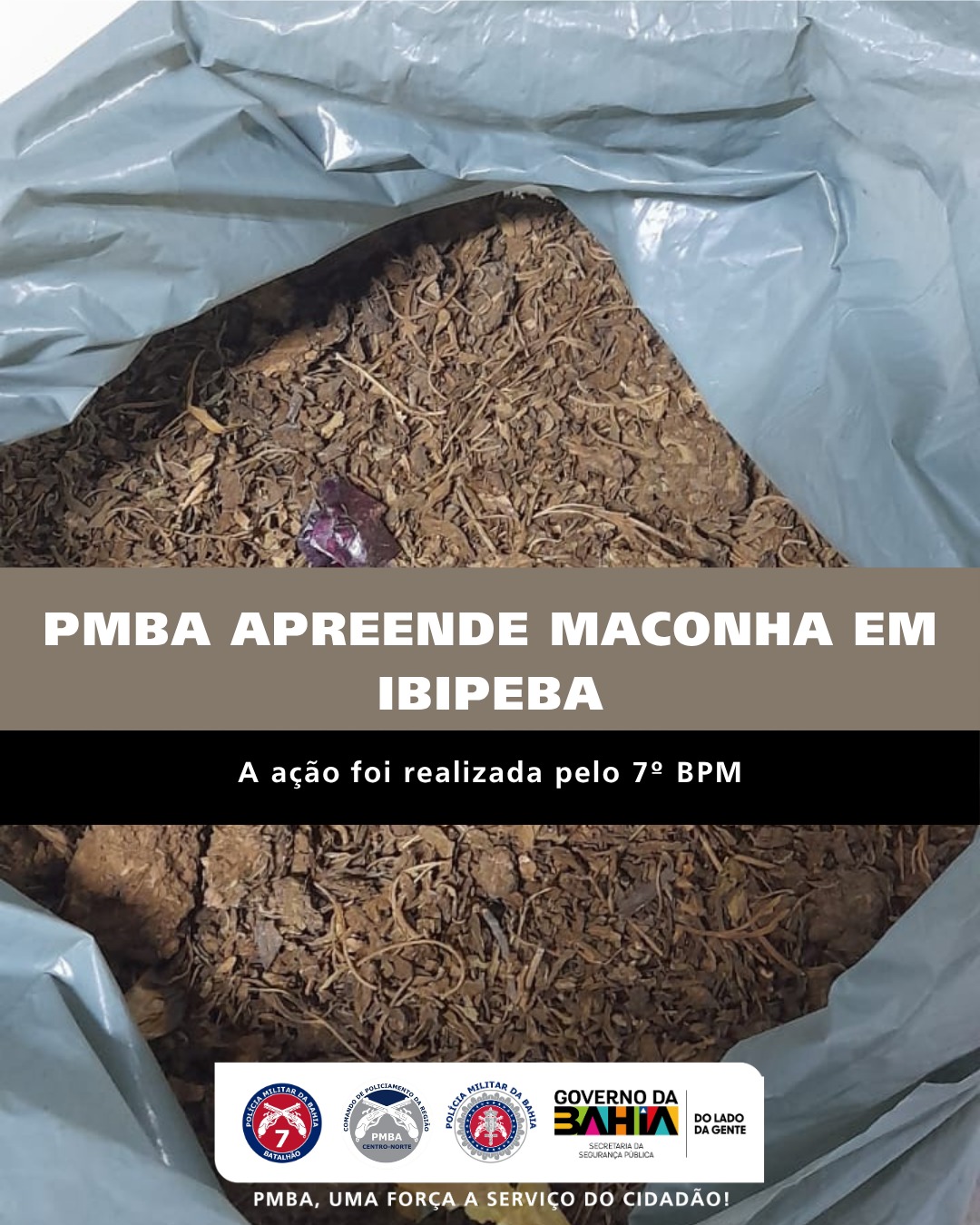 PMBA apreende maconha em Ibipeba