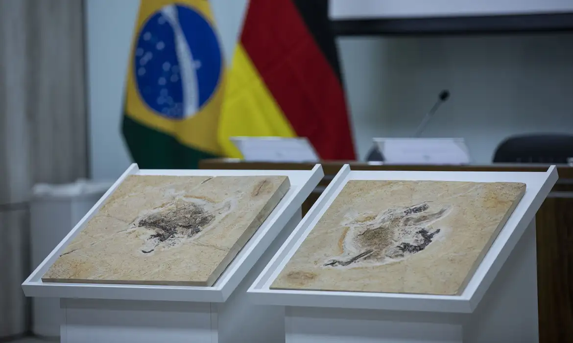 BRASIL QUER RECUPERAR DINOSSAUROS E PATRIMÔNIOS QUE ESTÃO EM 14 PAÍSES