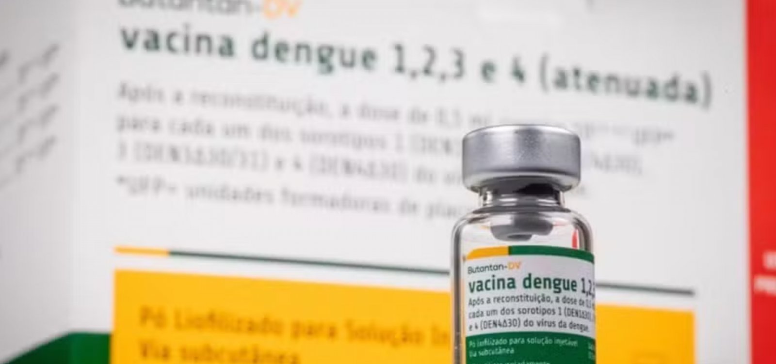 APÓS DUAS MORTES SUSPEITAS, MINISTÉRIO DA SAÚDE SUSPENDE VACINA DA DENGUE FEITA PELO BUTANTAN
