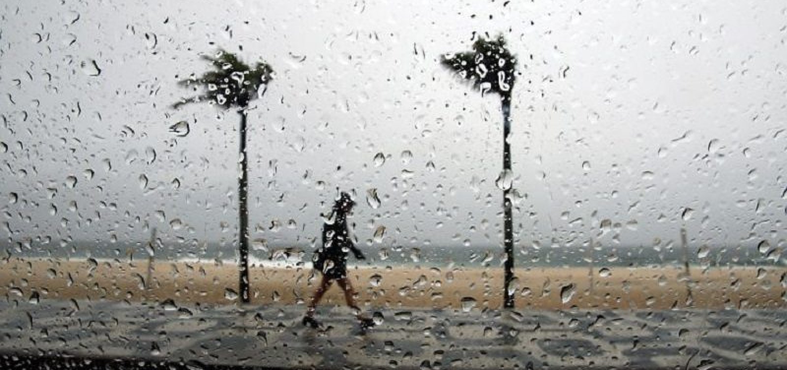 INMET ALERTA PARA RISCO DE VENDAVAL EM 86 CIDADES DA BAHIA.