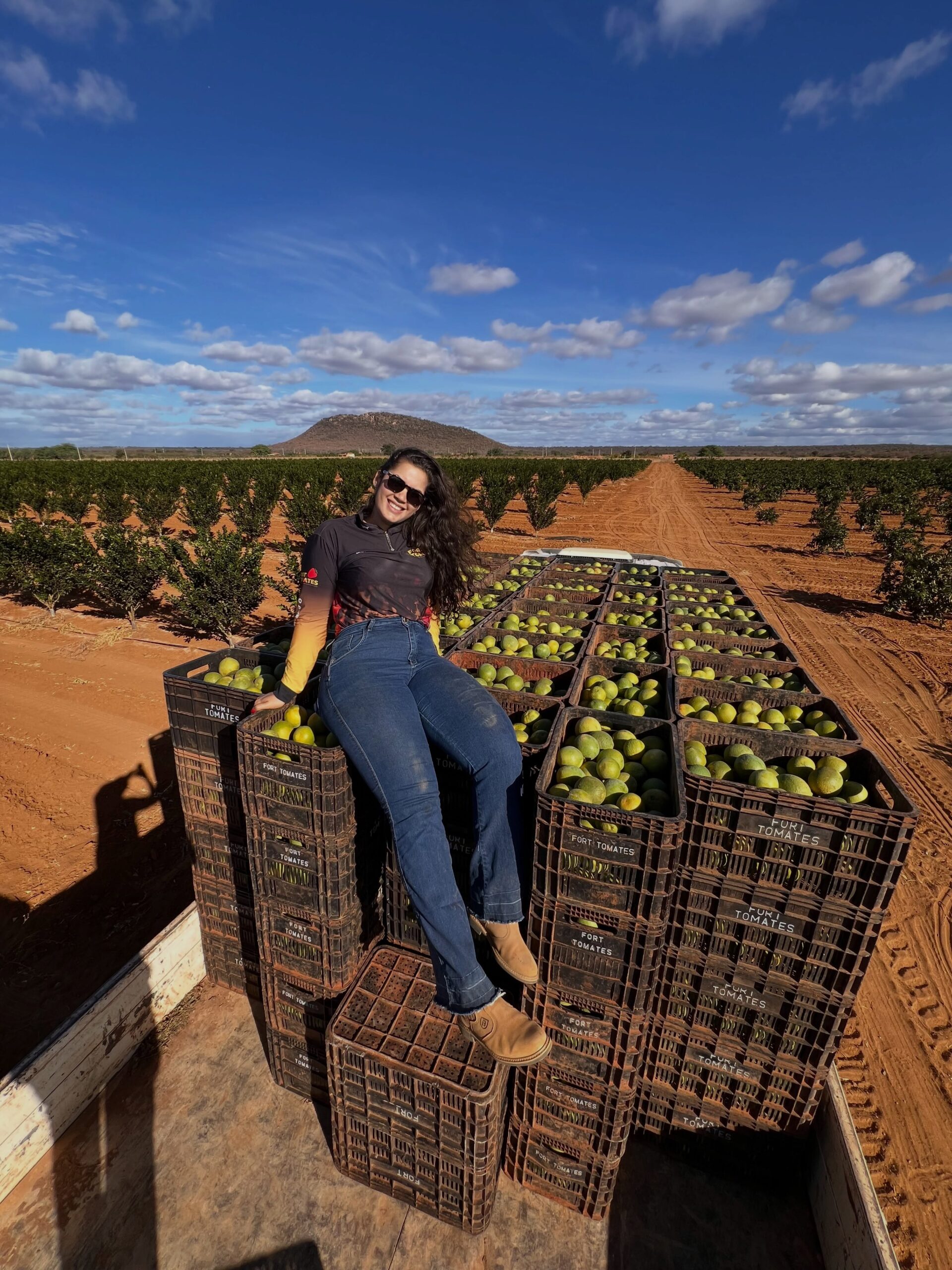 JUSSARA SE DESTACA NA PRODUÇÃO DE LARANJA PERA RIO COM PRIMEIRA COLHEITA EM POMAR DE TRÊS ANOS