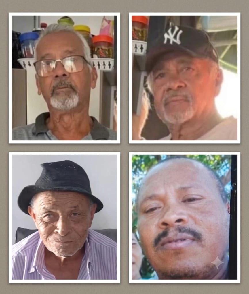 TRAGÉDIA NA BR-116: COLISÃO FRONTAL DEIXA SETE MORTOS E DROGA É APREENDIDA.