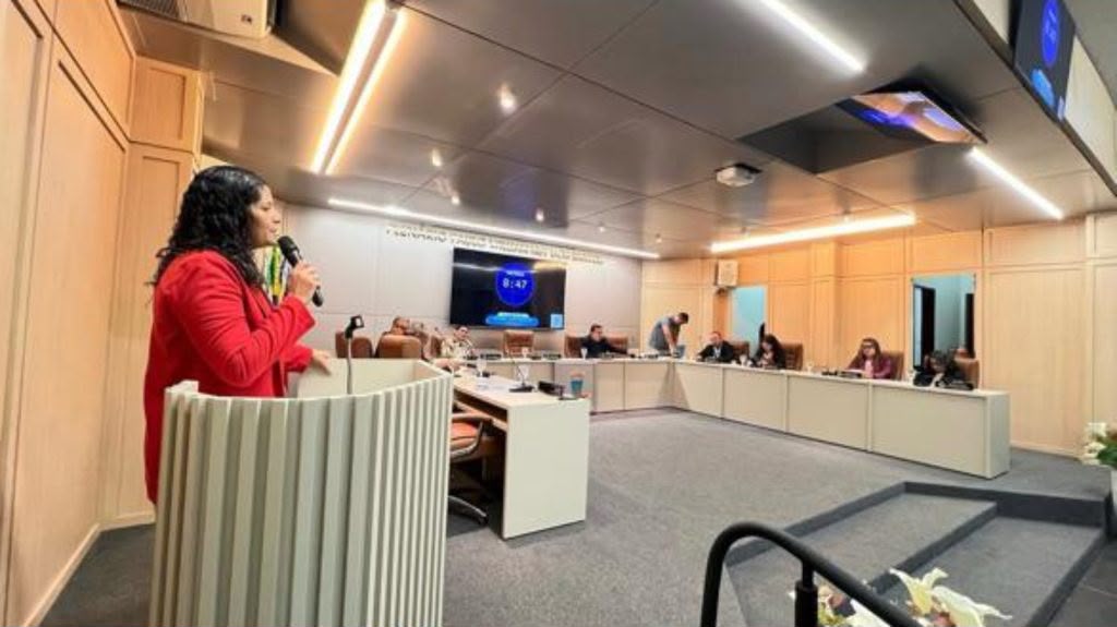 Viviane Vasconcelos conduz trabalhos da Câmara de João Dourado com foco no diálogo e na participação legislativa