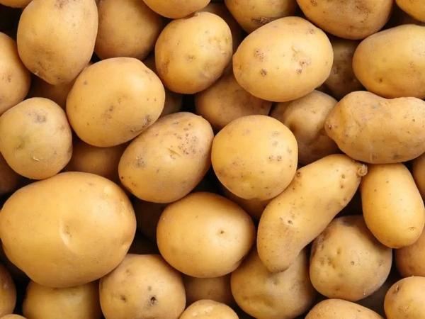 BATATA FICA MAIS BARATA E PURÊ PODE VOLTAR AO PRATO DO BRASILEIRO; VEJA PREÇOS