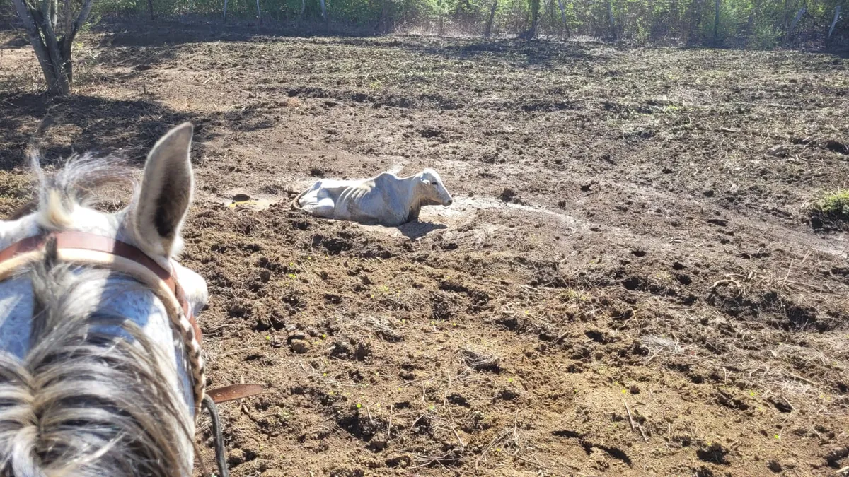ESTUDO APONTA RISCOS E PROPÕE MEDIDAS CONTRA MUDANÇAS CLIMÁTICAS NA BAHIA